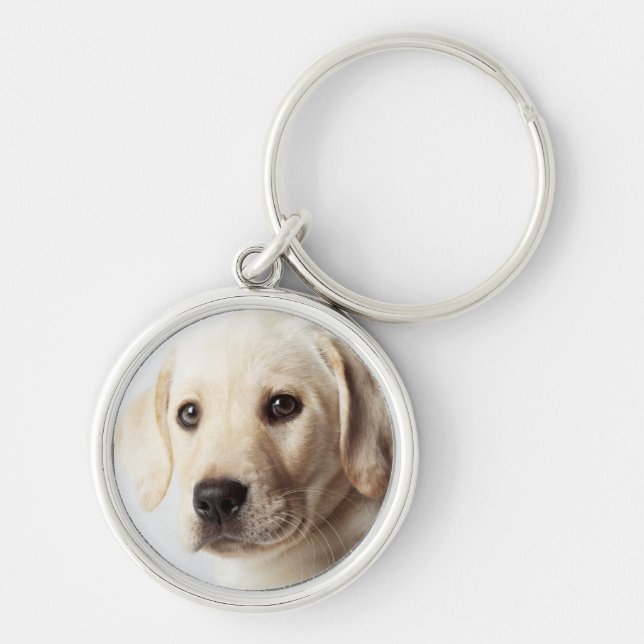 Porte-clés Golden Labrador Puppy Closeup (Devant)