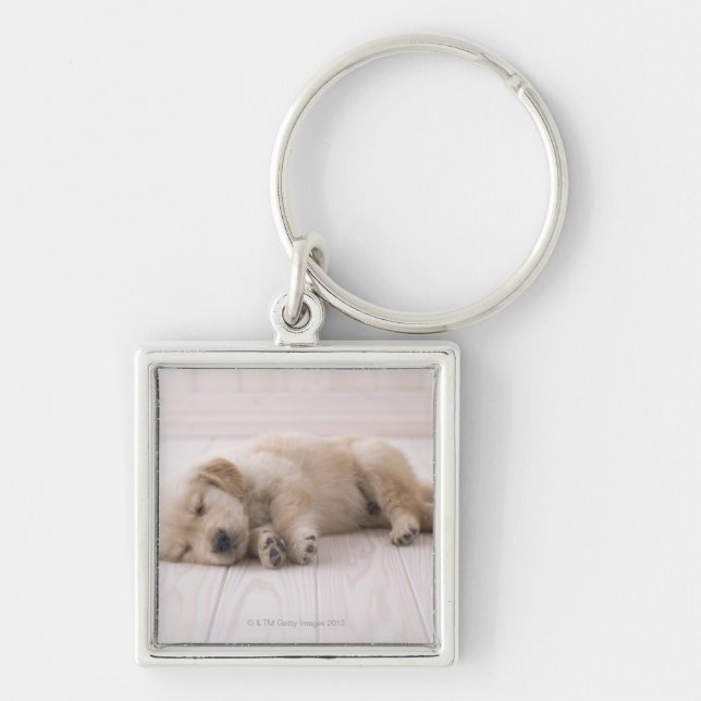 Porte-clés Golden retriever (Devant)