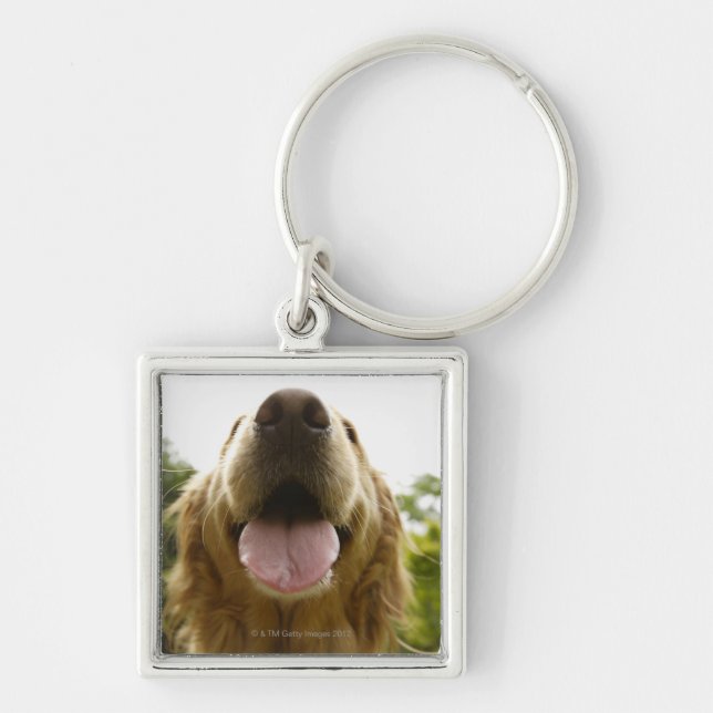 Porte-clés Golden retriever 5 (Devant)