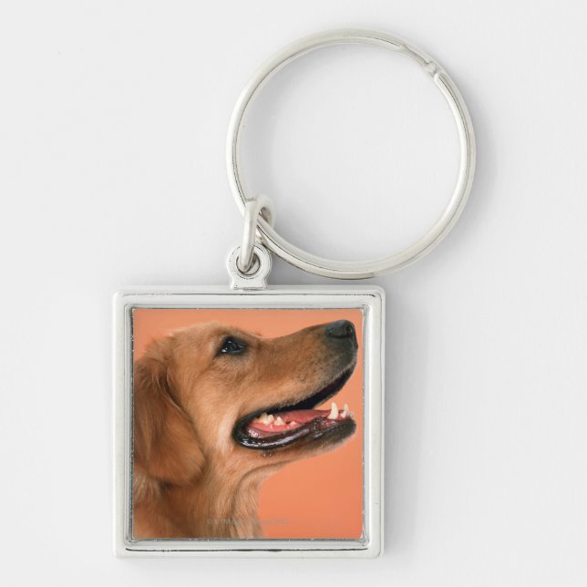 Porte-clés Golden retriever 7 (Devant)