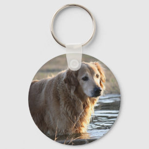 Porte-clés Golden Retriever dans l'eau