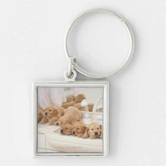 Porte-clés Golden retriever ; est relativement un moderne et (Devant)