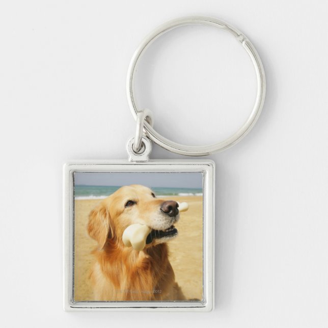Porte-clés Golden retriever mangeant l'os (Devant)