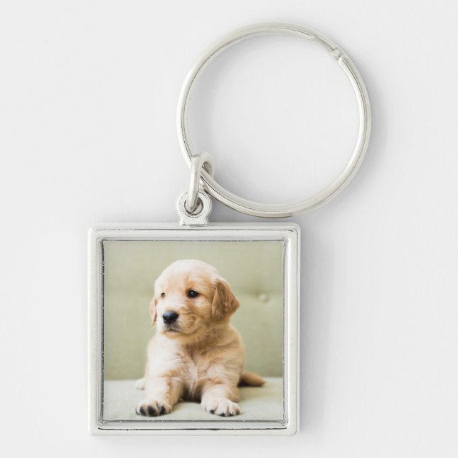 Porte-clés Golden Retriever Puppy (Devant)