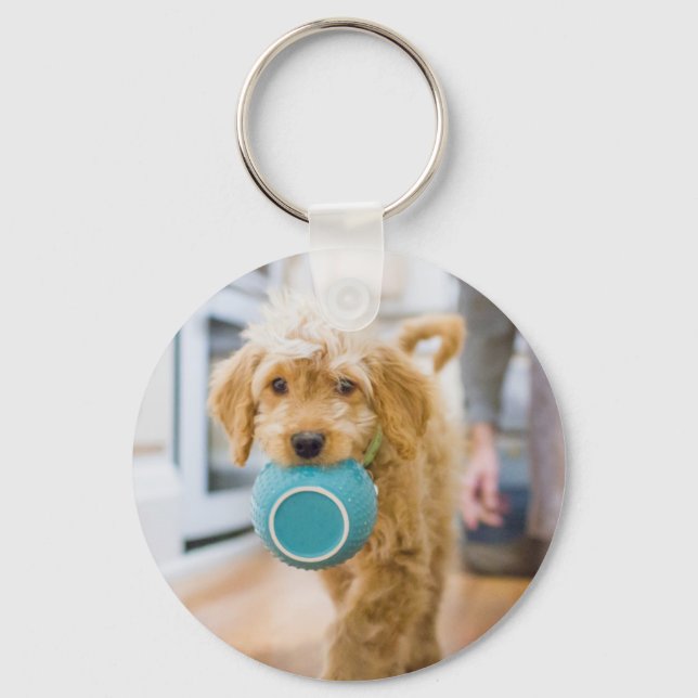 Porte-clés Goldendoodle transportant le souper Bowl (Recto)