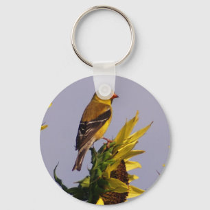 Porte-clés Goldfinch américain sur tournesol