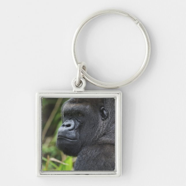 Porte-clés Gorille de Silverback Lowland, captif de Gorilla (Devant)
