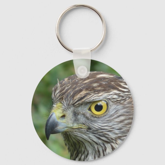Porte-clés goshawk (Recto)