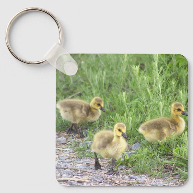Porte-clés Goslings Porte - clé photo (Recto)
