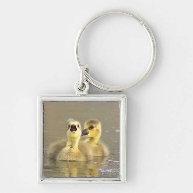 Porte-clés Goslings Porte - clé photo (Devant)