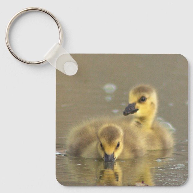 Porte-clés Goslings Porte - clé photo (Recto)