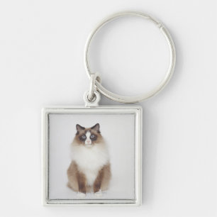 Porte-clés Grand chat velu