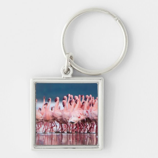 Porte-clés Grand Groupe De Flamants Nains (Devant)
