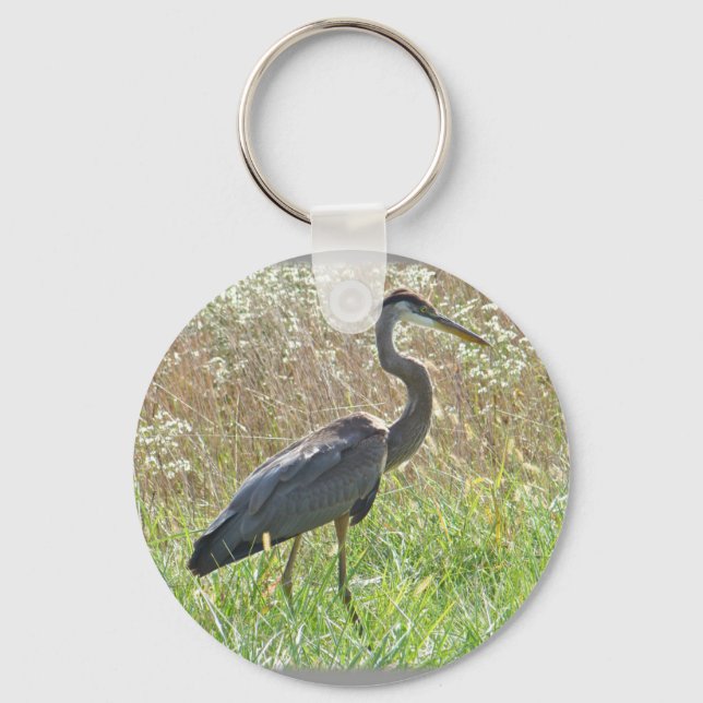 Porte-clés Grand héron bleu - Ardea herodias (Recto)