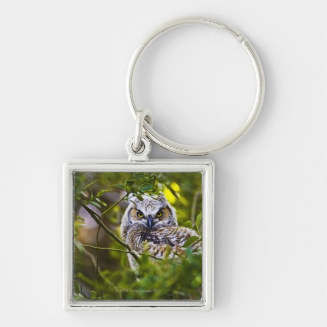 Porte-clés Grand jeune hibou à cornes (Devant)