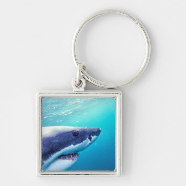 Porte-clés Grand requin blanc | Afrique du Sud (Devant)