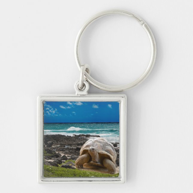 Porte-clés Grande tortue au bord de mer (Devant)