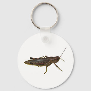 Porte-clés Grasshopper
