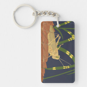 Porte-clés Grasshopper en Grass vert sur Arrière - plan bleu