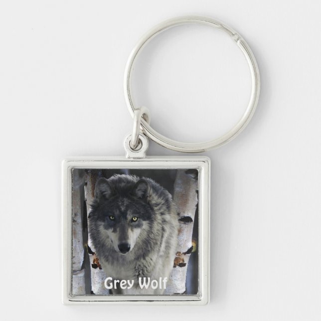 Porte-clés GRAY PACK WOLF, collection (Devant)