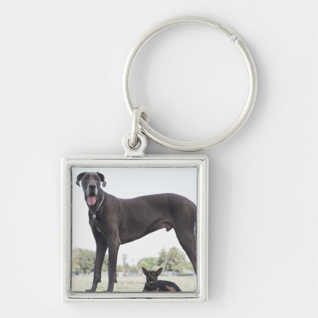 Porte-clés Great dane et petit chien de mélangé-race (Devant)