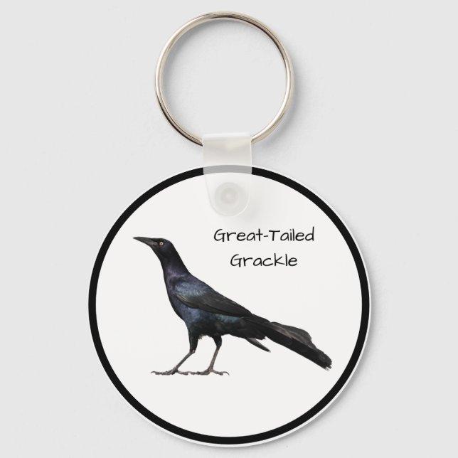 Porte-clés Great-Tailed Grackle (Recto)