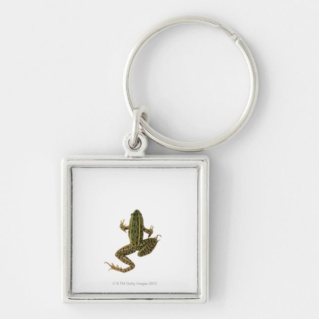 Porte-clés Grenouille 2 (Devant)