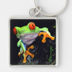 Porte-clés Grenouille 3 Porte - clé