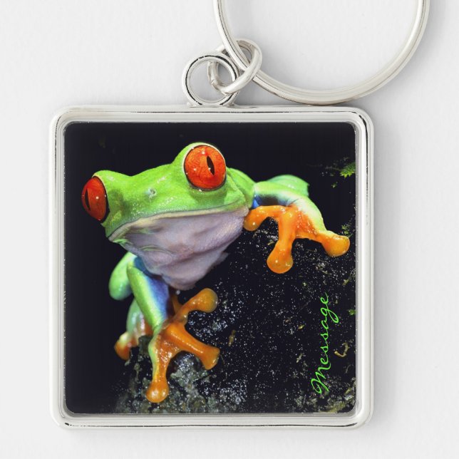 Porte-clés Grenouille 3 Porte - clé (Devant)