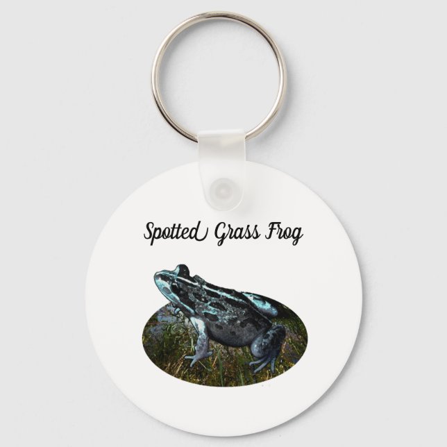 Porte-clés Grenouille à herbe tachetée, Porte - clé (Recto)