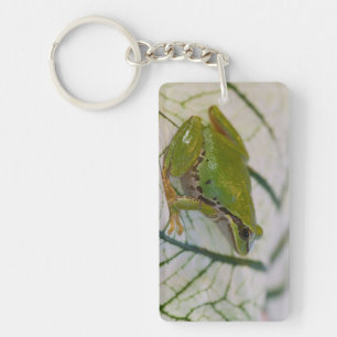 Porte-clés Grenouille arboricole du Pacifique sur des fleurs