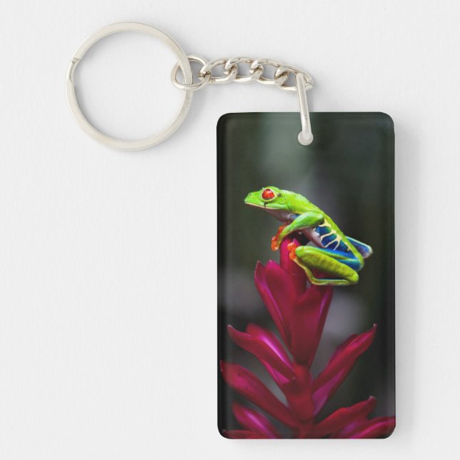 Porte-clés Grenouille aux yeux rouges (Devant)