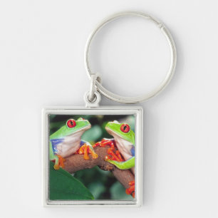 Porte-clés Grenouille aux yeux rouges paire, Agalychinis call