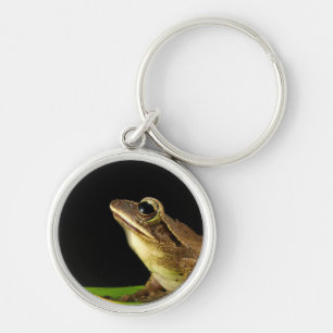 Porte-clés Grenouille commune sur une feuille