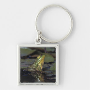 Porte-clés Grenouille dans un étang