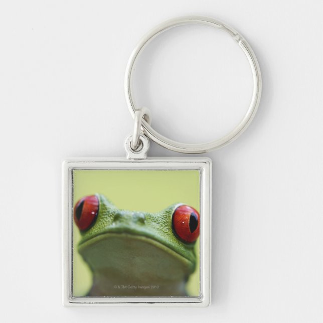 Porte-clés Grenouille d'arbre aux yeux rouges (callidryas (Devant)