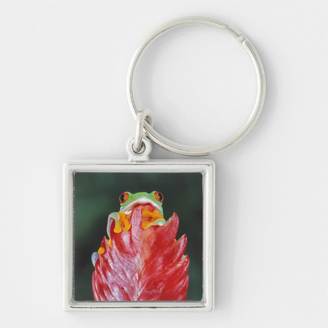 Porte-clés Grenouille d'arbre aux yeux rouges sur la feuille (Devant)