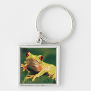 Porte-clés Grenouille d'arbre rouge d'oeil