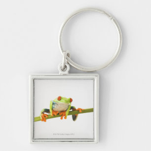 Porte-clés Grenouille d'arbre sur la tige
