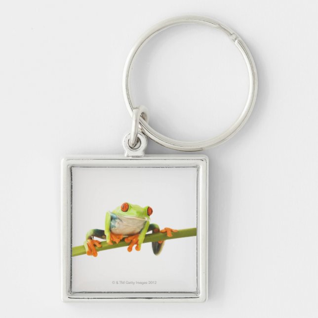 Porte-clés Grenouille d'arbre sur la tige (Devant)