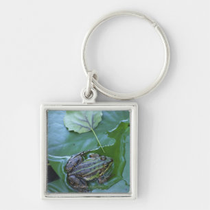 Porte-clés Grenouille de piscine, Amperauen, Allemagne
