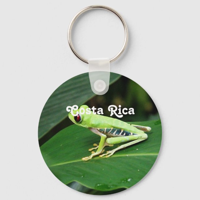 Porte-clés Grenouille des arbres du Costa Rica (Recto)