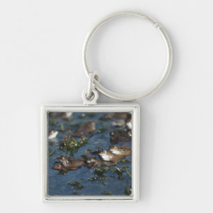 Porte-clés Grenouille drôle