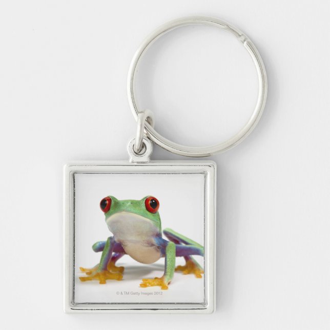 Porte-clés Grenouille femelle 2 (Devant)