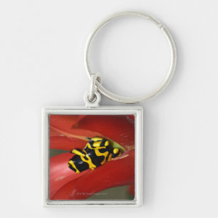 Porte-clés grenouille Jaune-réunie de poison