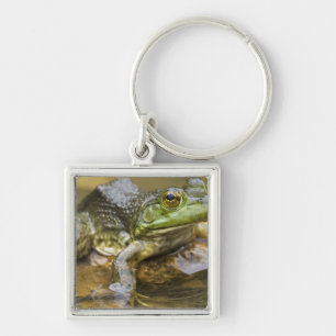 Porte-clés Grenouille le long de la rivière Buffalo, Mile 126