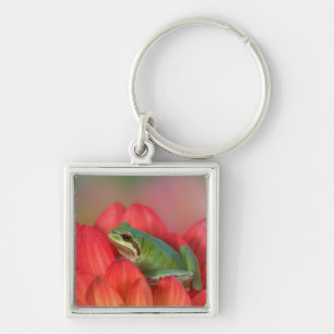 Porte-clés Grenouille léopard sur des fleurs dans le jardin
