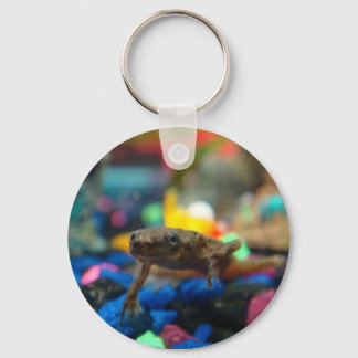 Porte-clés Grenouille naine africaine