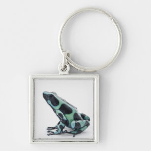 Porte-clés Grenouille noire et verte de dard de poison