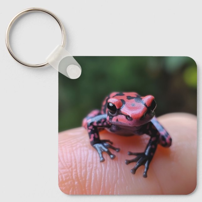 Porte-clés Grenouille rouge (Recto)